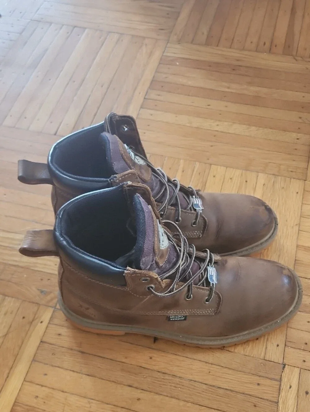 Irish Setter sturdy leather